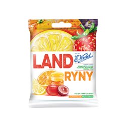 WEDEL LANDRYNKI OWOCOWE 90g