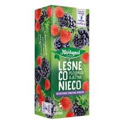 herbapol-herbata-owocowa-leśne-co-nieco-poziomka&jeżyn-20x2g-40g.jpg