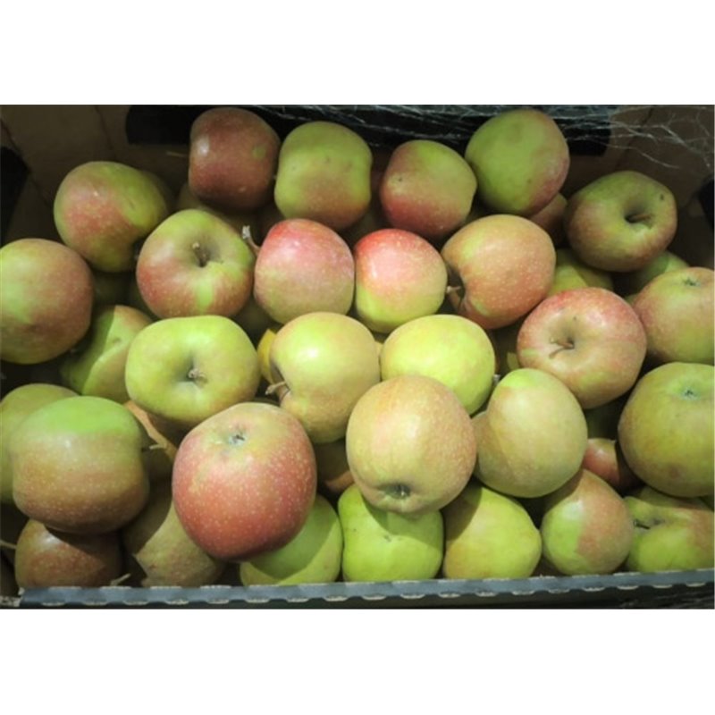 MAXFOOD OWOCE JABŁKO RENETA Z POLSKI KL1 ~14kg