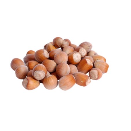 MAXFOOD ORZECHY LASKOWE 500g