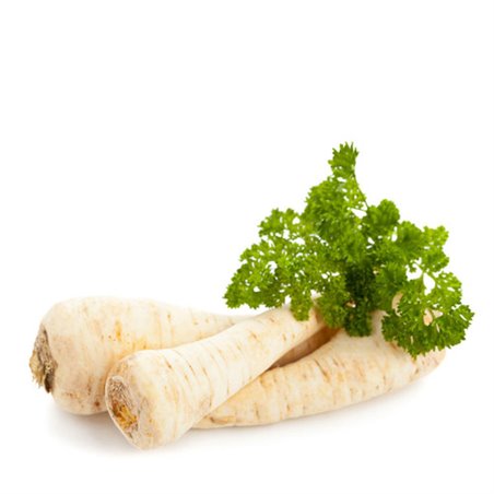 maxfood-korzeń-pietruszki-z-polski.jpg