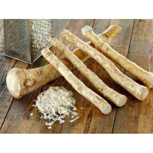 maxfood-korzeń-chrzanu-z-polski.jpg