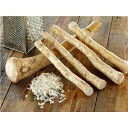 maxfood-korzeń-chrzanu-z-polski.jpg