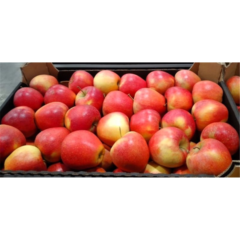 maxfood-φρουτα-μηλο-gala-πολωνιασ-κατ.1-~14kg.jpg