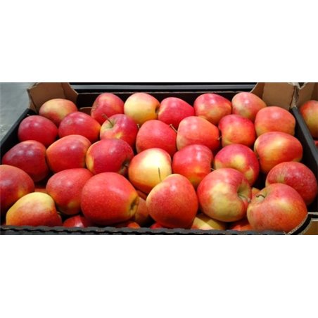 maxfood-φρουτα-μηλο-gala-πολωνιασ-κατ.1-~14kg.jpg