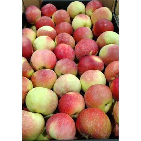 maxfood-φρουτα-μηλο-lobo-πολωνιασ-κατ.1-~14kg.jpg