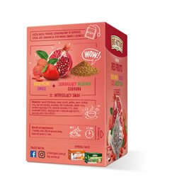 HERBAPOL HERBATA BIG-ACTIVE OWOCOWA RED FRUITS 20x2,25g 45g