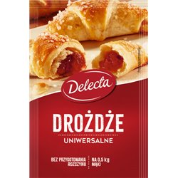 DELECTA DROŻDŻE SUSZONE 8g